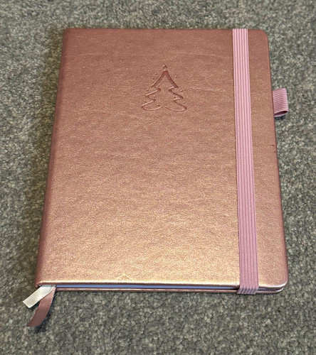 Pink pocket password book - password,